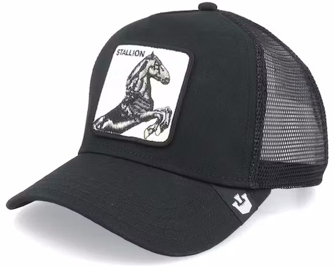 Hovedbilde Goorin Bros The Stallion Baseball Cap i Black