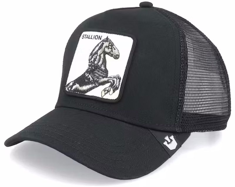 Goorin Bros The Stallion Baseball Cap i Black